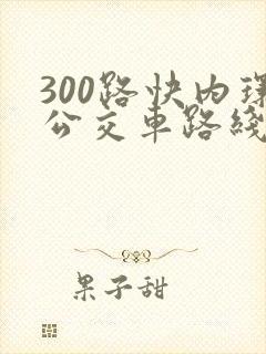 300路快内环公交车路线图