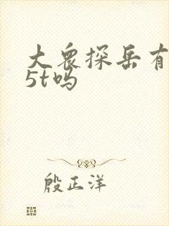 大众探岳有1.5t吗