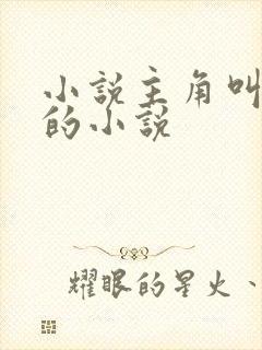 小说主角叫陆鸣的小说