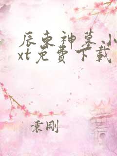 辰东神墓小说txt免费下载