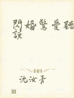 闪婚惊爱听说小说