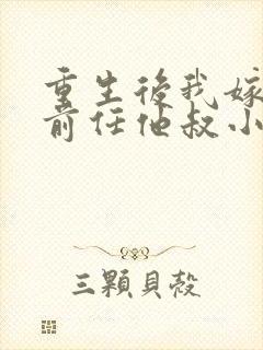 重生后我嫁给了前任他叔小说