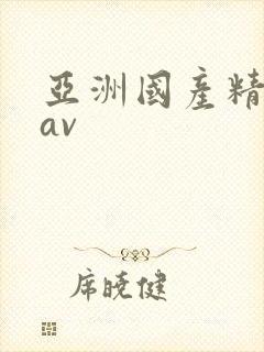 亚洲国产精品八av