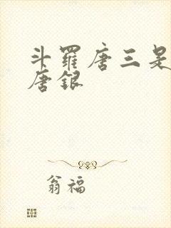 斗罗唐三是我哥唐银