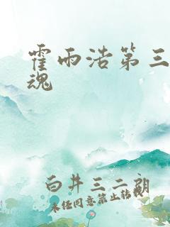 霍雨浩第三个武魂