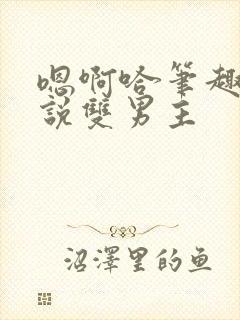 嗯啊哈笔趣阁小说双男主