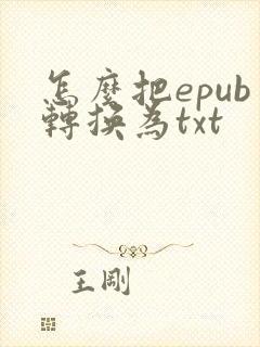 怎么把epub转换为txt