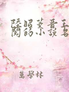 陆昭菱晋王周时阅的小说名