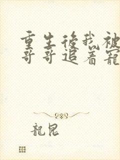 重生后我被三个哥哥追着宠 小说