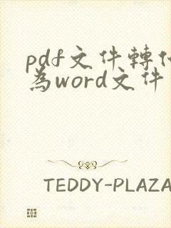 pdf文件转化为word文件