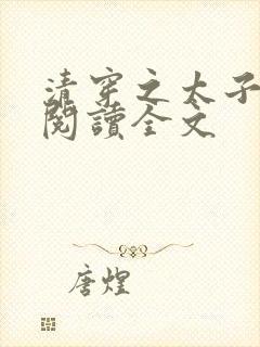 清穿之太子娇妃阅读全文