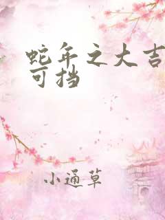 蛇年之大吉婚不可挡