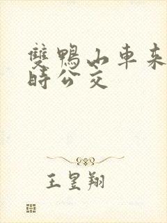 双鸭山车来了实时公交