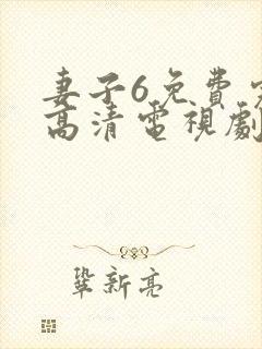 妻子6免费完整高清电视剧在线看