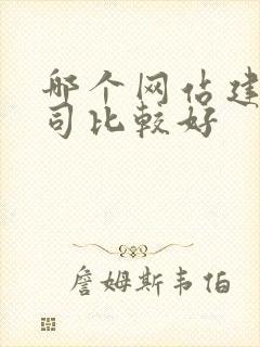 哪个网站建设公司比较好