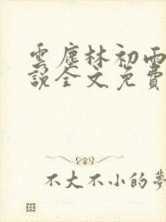 云尘林初雨的小说全文免费阅读下载