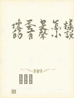 坏蛋是怎样炼成的有声小说2