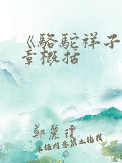 《骆驼祥子》每章概括