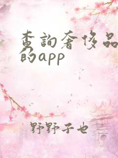 查询奢侈品价格的app