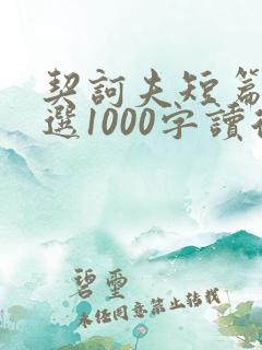 契诃夫短篇小说选1000字读后感
