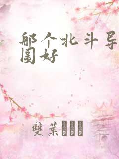 那个北斗导航地图好