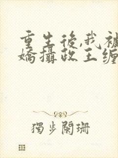 重生后,我被病娇摄政王缠上了在线阅读小说