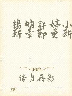 杨明许婷小说最新章节更新时间