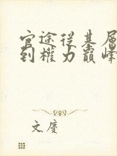 官途从基层科长到权力巅峰的小说