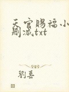 天官赐福小说无删减txt