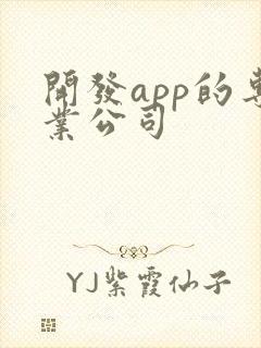 开发app的专业公司