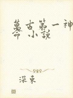 万古第一神李天命 小说