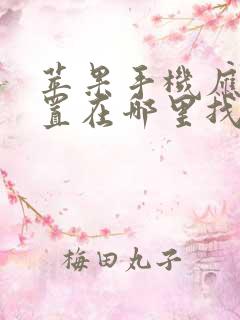 苹果手机应用设置在哪里找