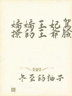 娇娇王妃驾到,撩的王爷脸红心跳洛神