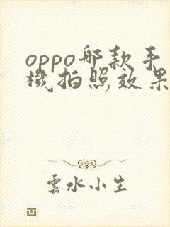 oppo哪款手机拍照效果最好性价比高