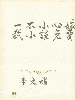 一不小心嫁了总裁小说免费阅读全文