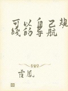 可以自己规划路线的导航