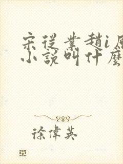 宋从业赵i原著小说叫什么名字