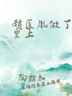 赵匡胤做了几年皇上