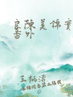 良陈美锦实体书番外