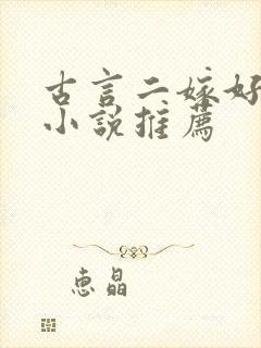 古言二嫁好看的小说推荐