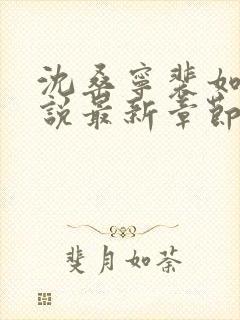 沈桑宁裴如衍小说最新章节