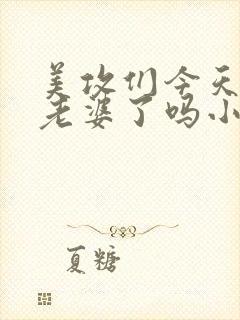 美攻们今天玩坏老婆了吗小说