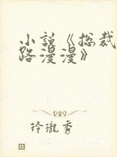 小说《总裁追妻路漫漫》