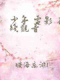 少年 电影 在线观看