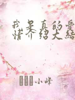 我是真的爱你剧情介绍大结局