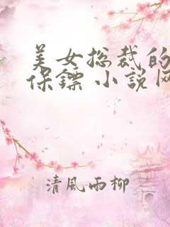 美女总裁的神级保镖 小说网