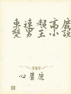 车速超高废文的双男主小说推荐短篇