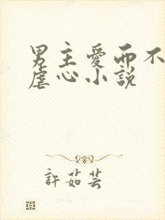 男主爱而不得的虐心小说