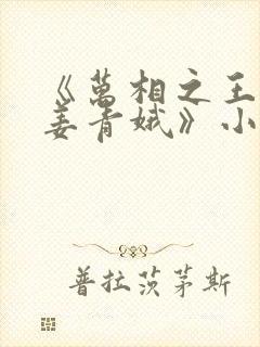 《万相之王李洛姜青娥》小说