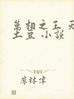 万相之王 天蚕土豆 小说